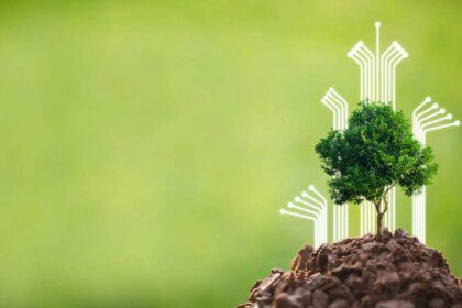 Les initiatives de construction verte : tendances et pratiques durables