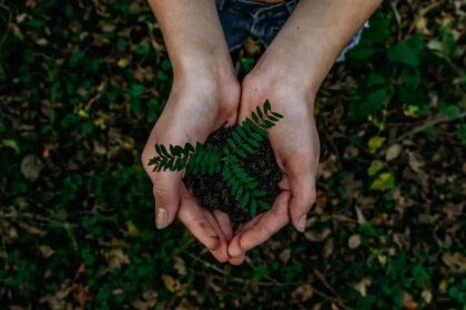 Normes écologiques BTP : Guide complet pour une construction durable