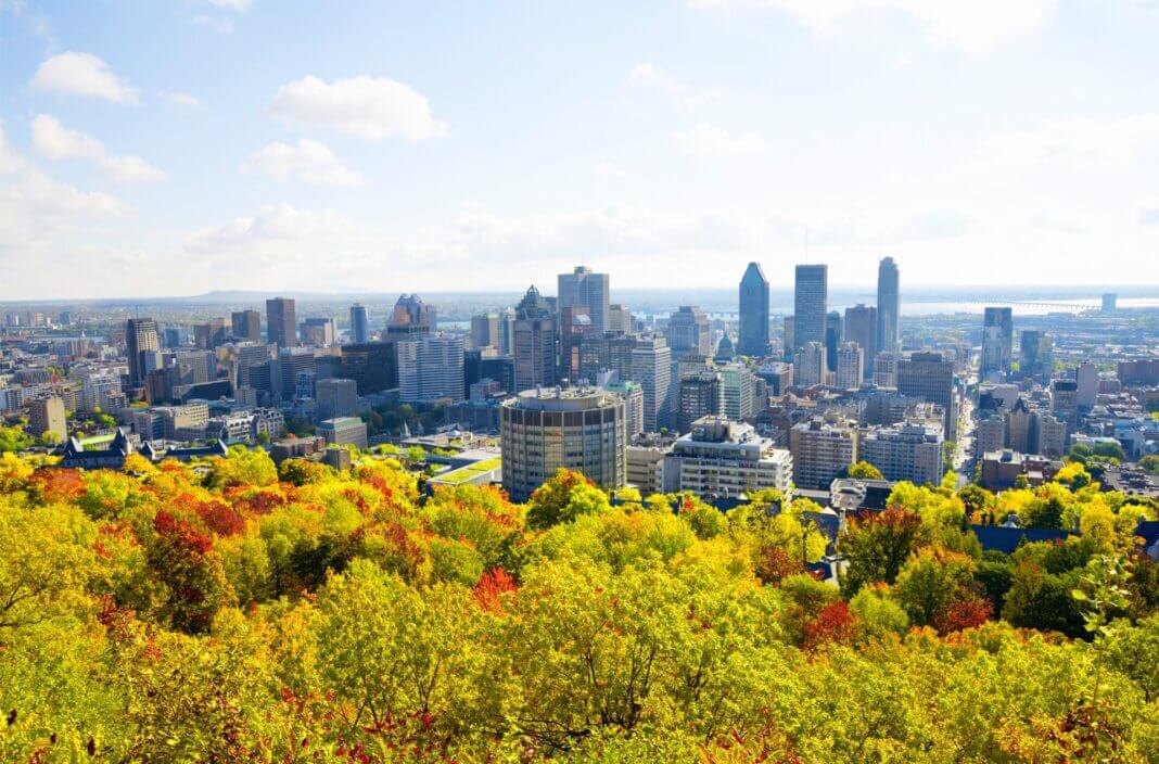 Les projets immobiliers durables les plus innovants à découvrir Les projets immobiliers durables les plus innovants à découvrir