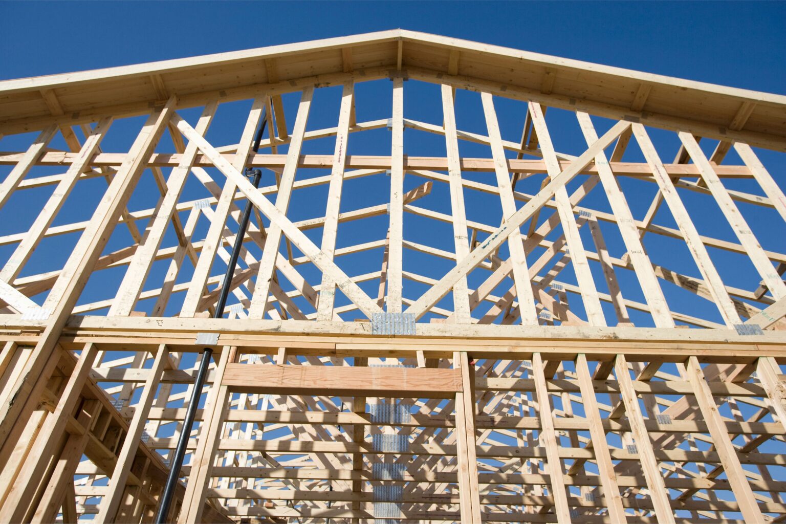 Options de charpente écologiques pour la construction durable