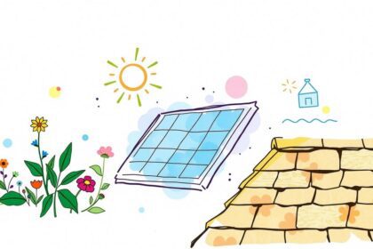 9 options de toitures écologiques : durabilité et durabilité réunies