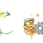 L’économie circulaire : avantages, défis et mise en œuvre en entreprise en 2025
